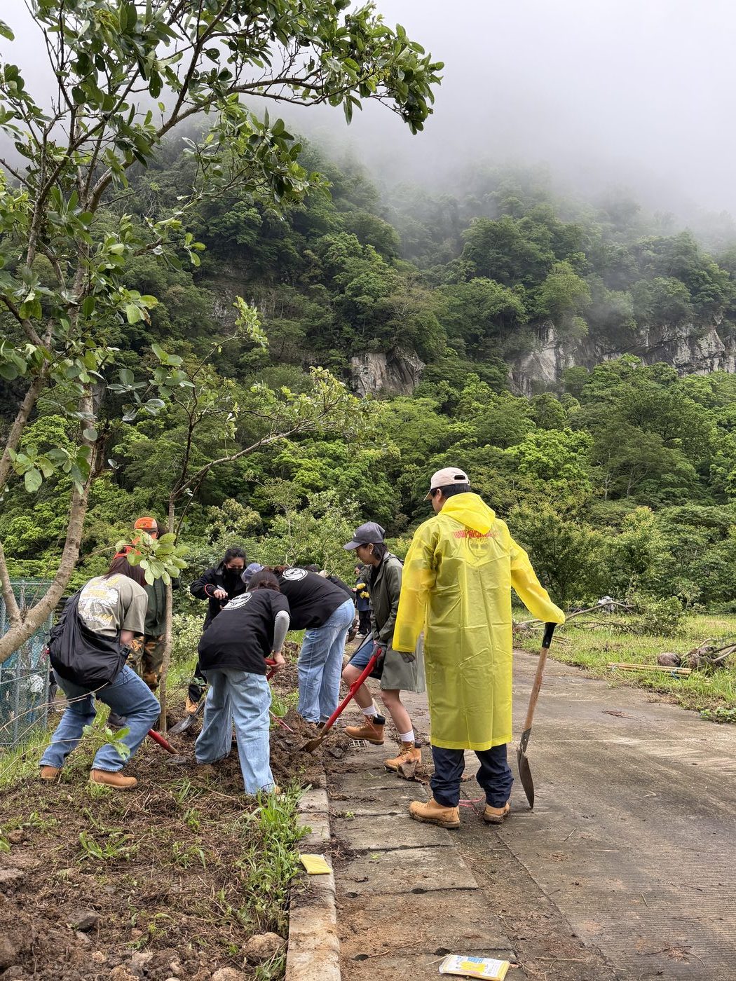 一樹一山植樹計劃